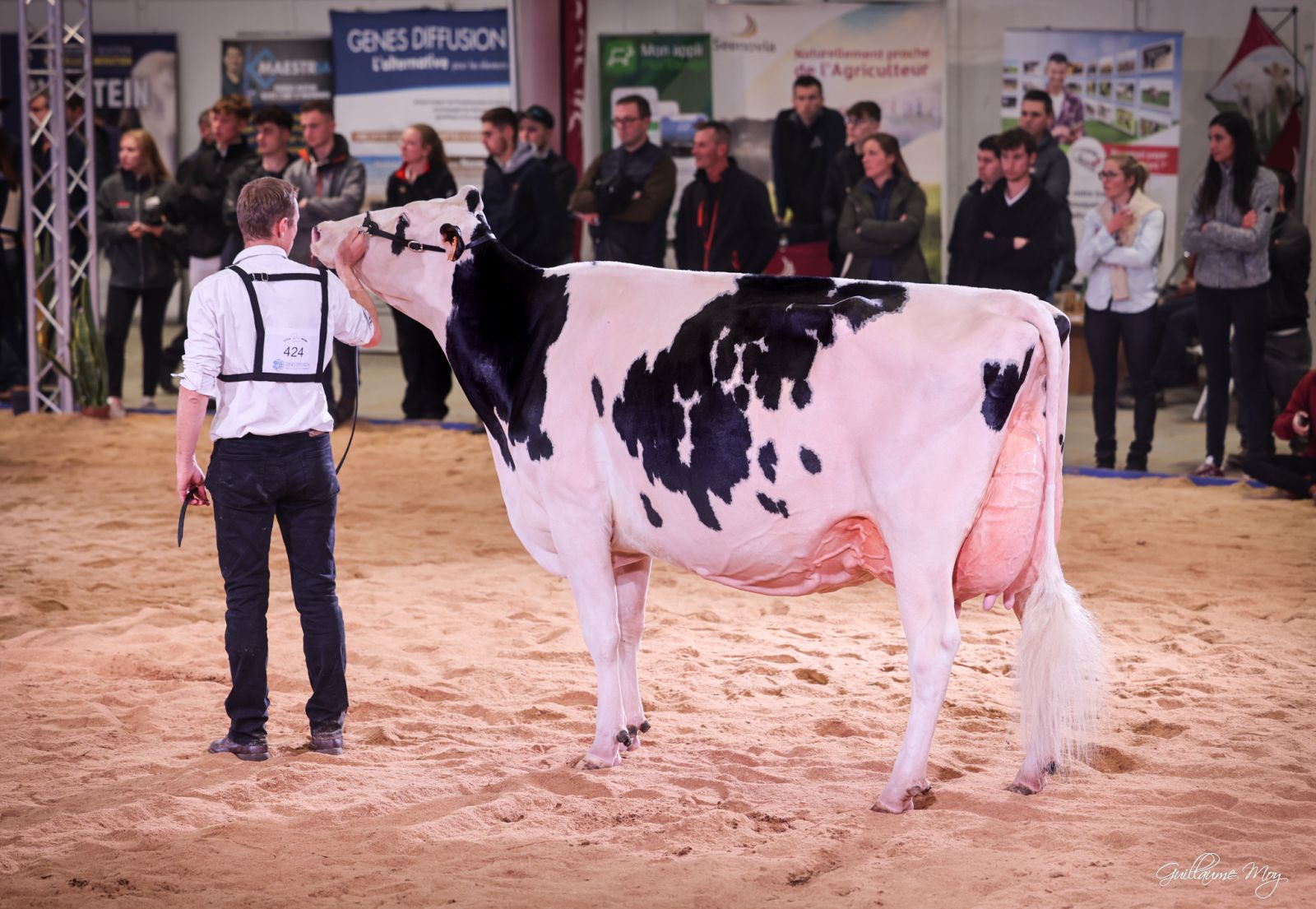 France SHOW GIRL wins H.M. Grand Champion Open Dairy Show '22